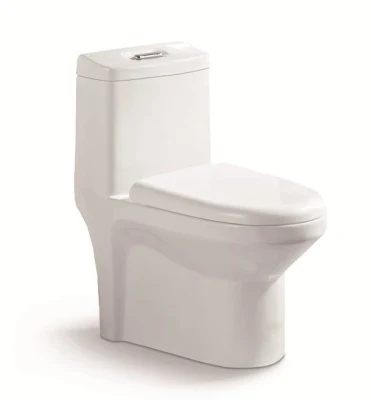 Bathroom Washdown 1 One Piece Ceramic Sanitaryware Water Closet Wc Toilet