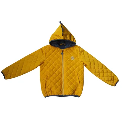 Hot Sale Children Clothes Fashion Boy Winter Jacket with Padding
