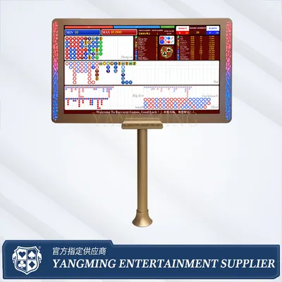 Thick-Style LED Casino Monitor with Premium Visual Frame