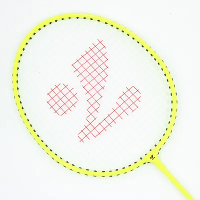Good Price to Sell of T Joint Aluminium Badminton Racket Set