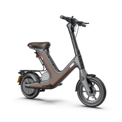 Factory Supply Bicycle Maxi Electric Scooter 100kg Load