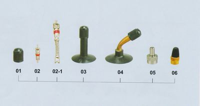 Bicycle Valve-A/V