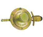 Gas Regulator Valve (ZJ-T15)