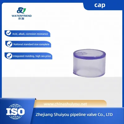 PVC Pipe Fittings Plastic Transparent Pipe Cap Pipe Fittings