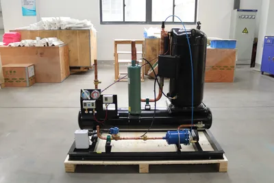 Walk in Chiller with Copeland Compressor Condensing Unit