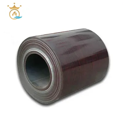Customized Black Rigid PP Polypropylene Plastic Sheet PVC PS Material Sheet Roll Film