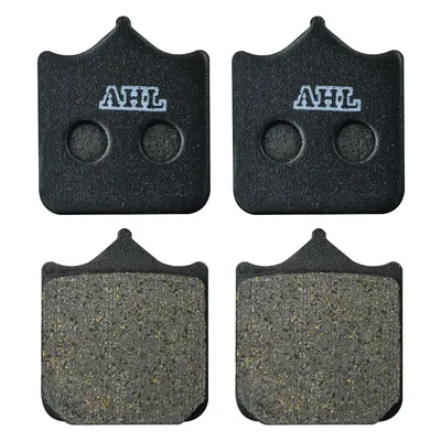 Fa604 Motorcycle Front Brake Pads for BMW S1000r