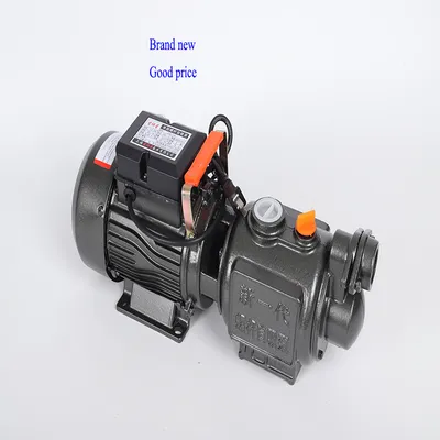 Home Usage Zgd Series Cast Iron Body Copper Coil Self Suction Pump