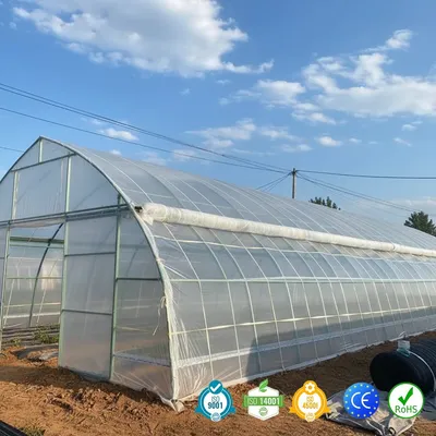 Steel Pipe Double Layer Tunnel Greenhouse for Vegetable Farming