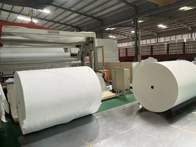 Wood Pulp Raw Material for Cutting Facial Tissue Toilet Paper