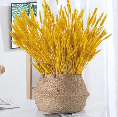 Real Dried Wheat Flower Stalks Dried Decorative Flowers for Wedding Party Decoration Home Table Kitchen Decor Bouquet