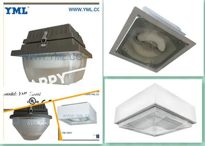 Garage, Canopy Induction Lamp (MX)