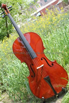 Student Cello (YSC001)