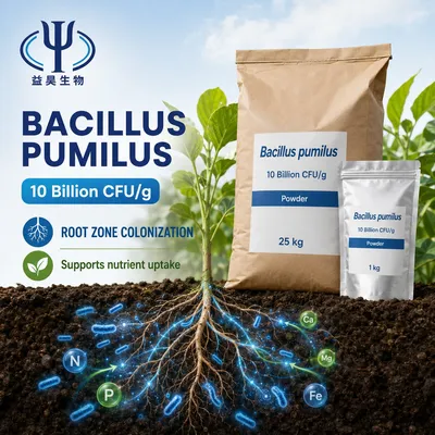 High Viability Bacillus Pumilus Powder for Agricultural Crop Biological Protection
