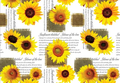 Flower Printed Color High Quality Non Woven Fabric Roll Table Cloth for Decor