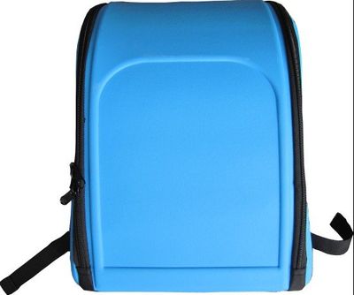 School Backpack (BP02001)