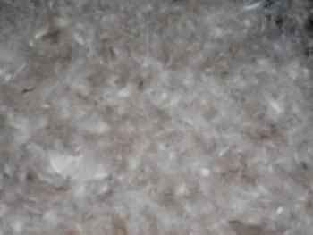 Goose Down Washed 90%