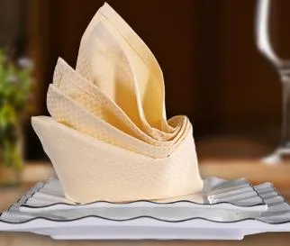 Hot Sale Restaurant Cotton Polyester Tablecloth Pad