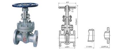 Class 150~1500 Cast Steel Gate Valve