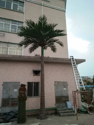 Factory Export High Quality Fiberglass Palm Tree for Gardening