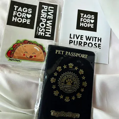 2026 New Custom Travel Passport Souvenir Passport Booklet Factory Price High Quality
