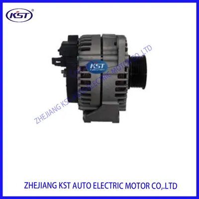 Alternator Factory Supply Bstr Price 202V261017281 Alq4087ml