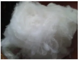 Polyester Staple Fibre New Tide for Spinning