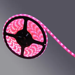 LED Flexible Strip Light (LA-RAA312Q) 