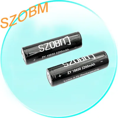 Y18650 2200mAh 3.7V Protected Li-ion Batteries (2-Pack+Case)