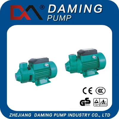 Vortex Water Pump with Ce Certificate for Home Use (QB60)