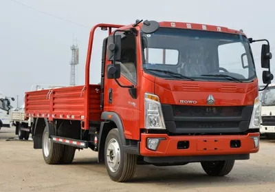 Sinotruk HOWO 4X2 Light Cargo Truck