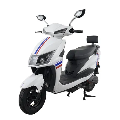 Zuboo Daily Use Long Range 10 Inch Brushless DC Motor Delivery E Electric Motorcycle