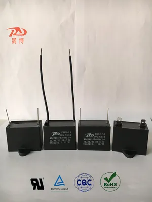 Home Appliance Capacitor with 2 Wire Cable Qualifed by UL TUV CQC (CBB61 10UF 450V)