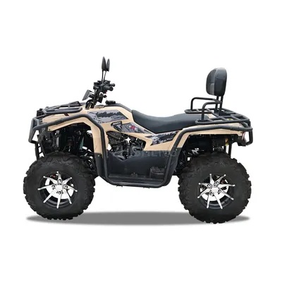 Wholesale ATV Big Quad Bike 2 Seaters ATV for Adult off Road 200cc 300cc 350cc ATV with CE