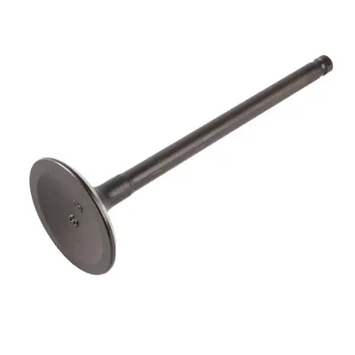 Intake System Original Steel Intake Valve for JAC S5 OE 1003202ge