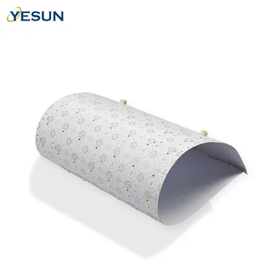55LED 16W Soft LED Light Sheet FPC Board for Advertisement Light Box