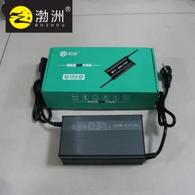 Versatile 12V 10A Charger for Lead-Acid and Lithium Batteries