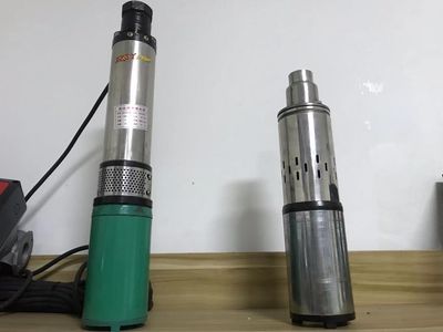 DC 24V 0.3kw Environmental Friendly Screw Solar Pump for Agriculture Irrigation/Breeding/Garden Fountain/Pump System