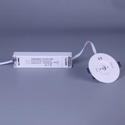 Multi-Functional LED Emergency Ceiling Mounted Light 3W Recessed Downlight
