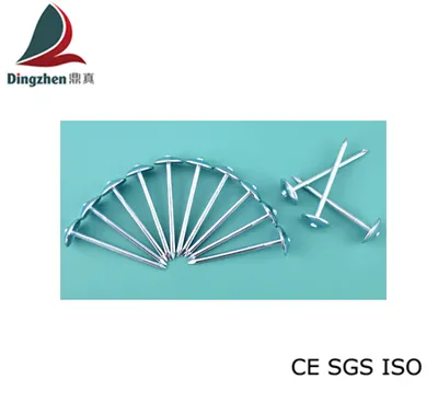 Umbrella Head Straight Type Steel Roofing Nail