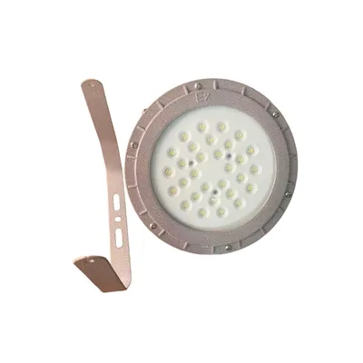 50W 100W 200W Circular Explosion-Proof LED High-Pressure Lamps with a Sturdy Aluminum Alloy Casing, Are Suitable for Industrial Hazardous Areas Fj91-C-1