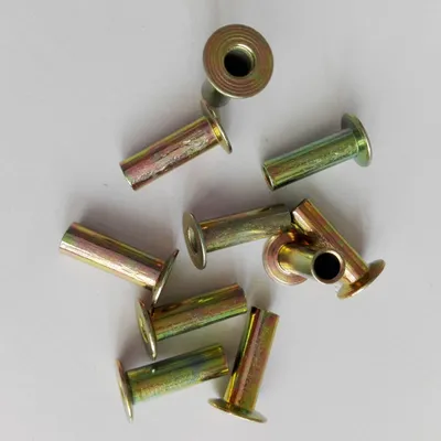 China Good Quality Fully Hollow Brake Lining Rivets L10 6X16mm