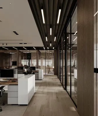 Interplay of Light and Shadow, Invisible Glass Partition, Privacy Guardian of Office Space