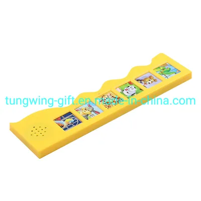 Sound Module/Pad for Education Book