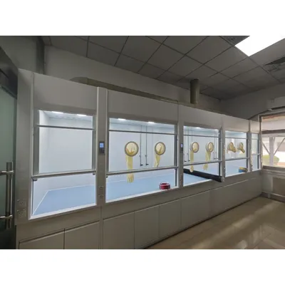 Corrosion Resistant Clear Visibility Automatic Us Standard Lab Fume Hood