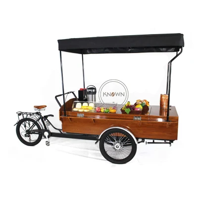 Retro New Shape for Ice Cream Fast Food Trailer Mobile Food Bike with 3 Wheels