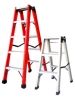 Trestle Ladder
