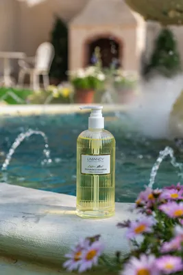 Hair Care Eastern Plant Extracts Fluffing Controlling Oil Restoring Scalp Health Shampoo