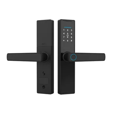 Economy Semiconductor Fingerprint Code Digital Lock