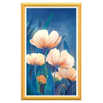 27-Inch Smart Touch Screen Digital Photo Frame with Wi-Fi